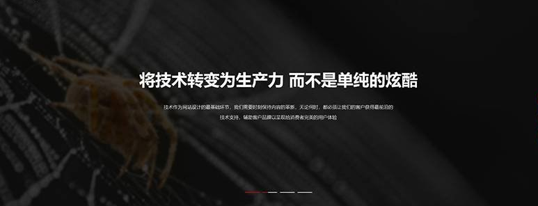 桐浦网页设计公司网站哪家强？