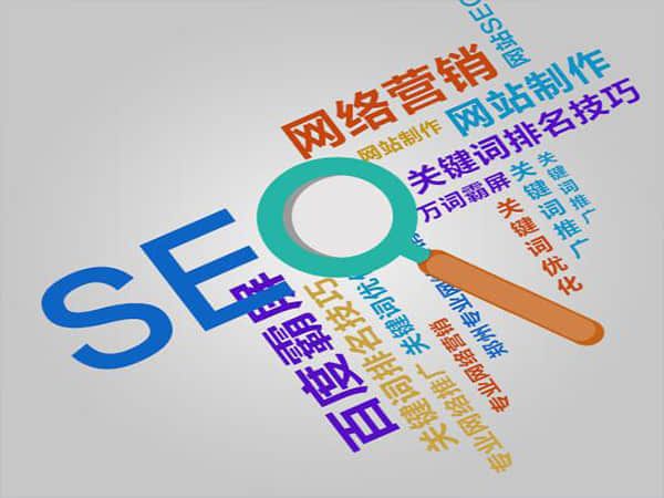 桐浦盛世传媒：定制化seo整站推广优化服务，助力网站腾飞